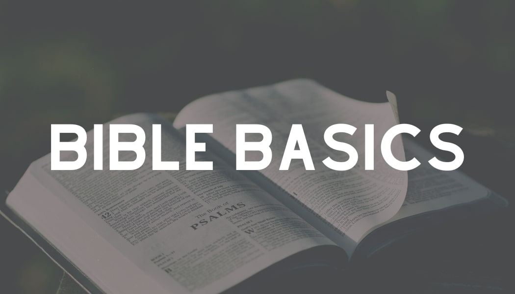 5 – Bible Basics